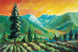 snow-creek-vineyard snow-creek-vineyard
