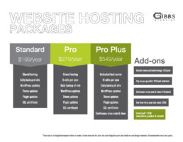 Web-Hosting-Packages