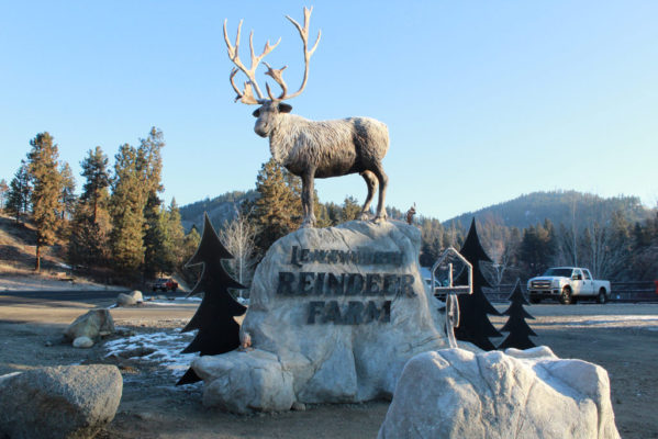 Reindeer sculpture on top of a rock sign